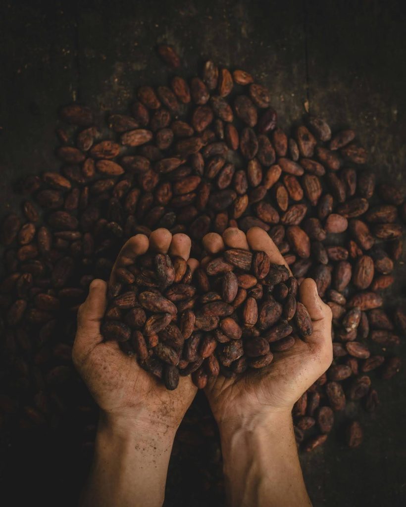 cocoa powder and dark chocolate