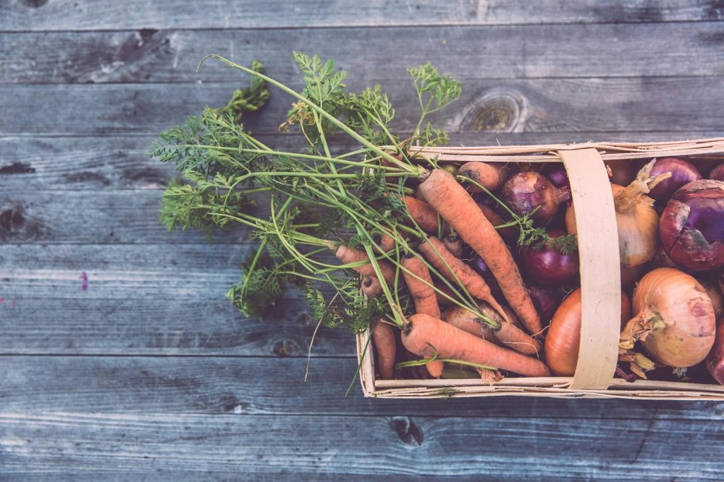 eco friendly eating habits
