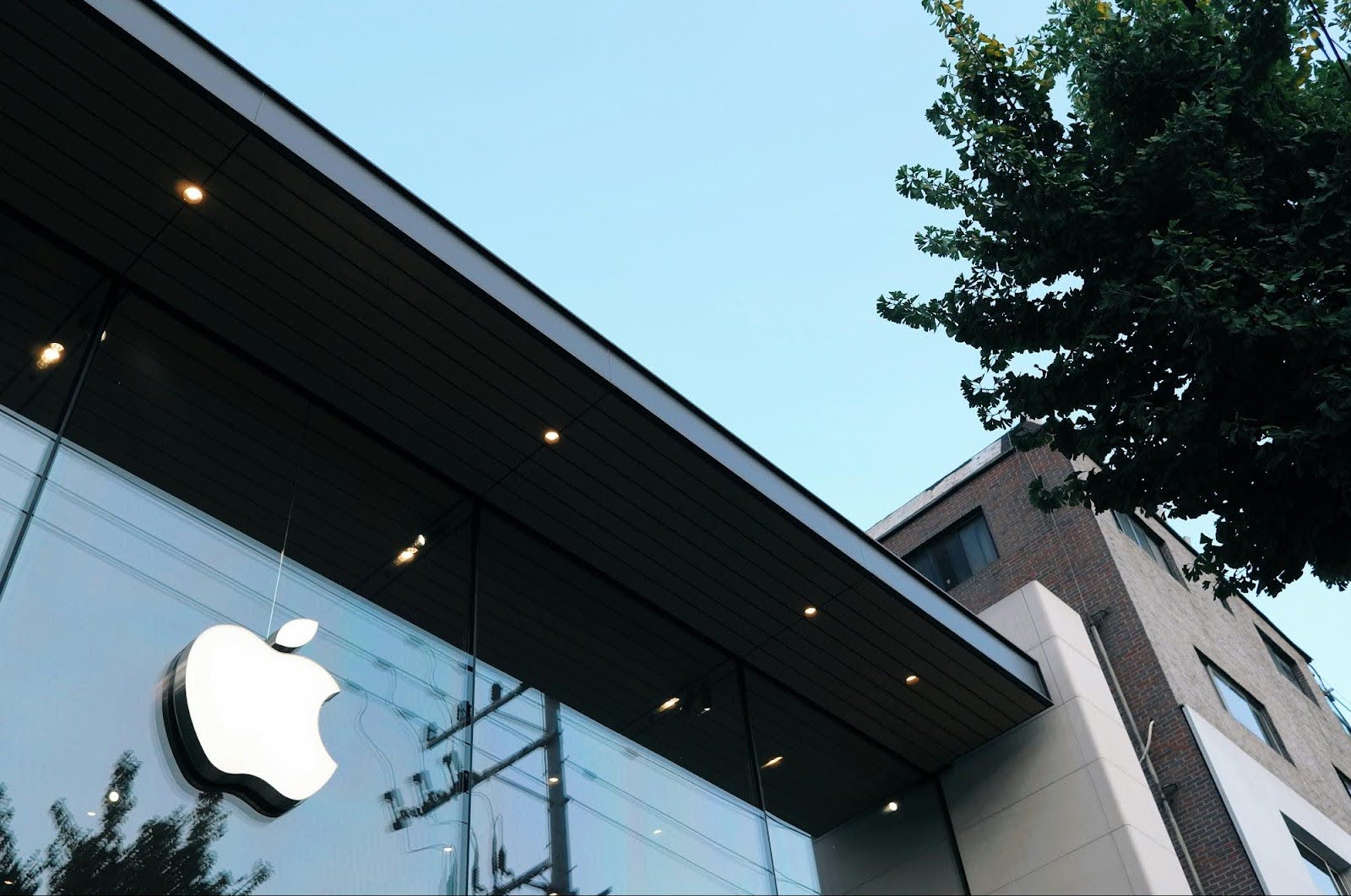 apple accused