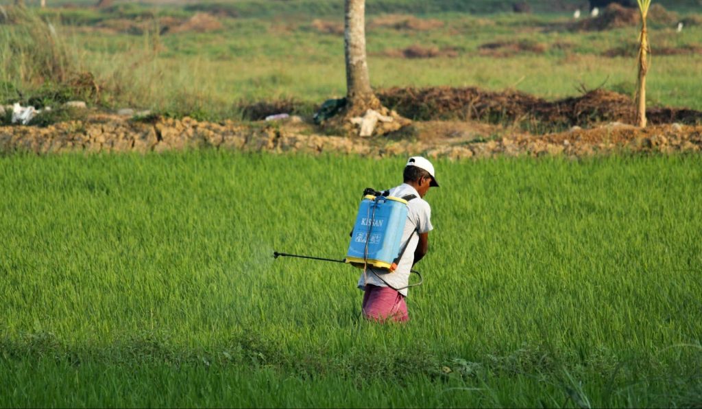 pesticides and herbicides