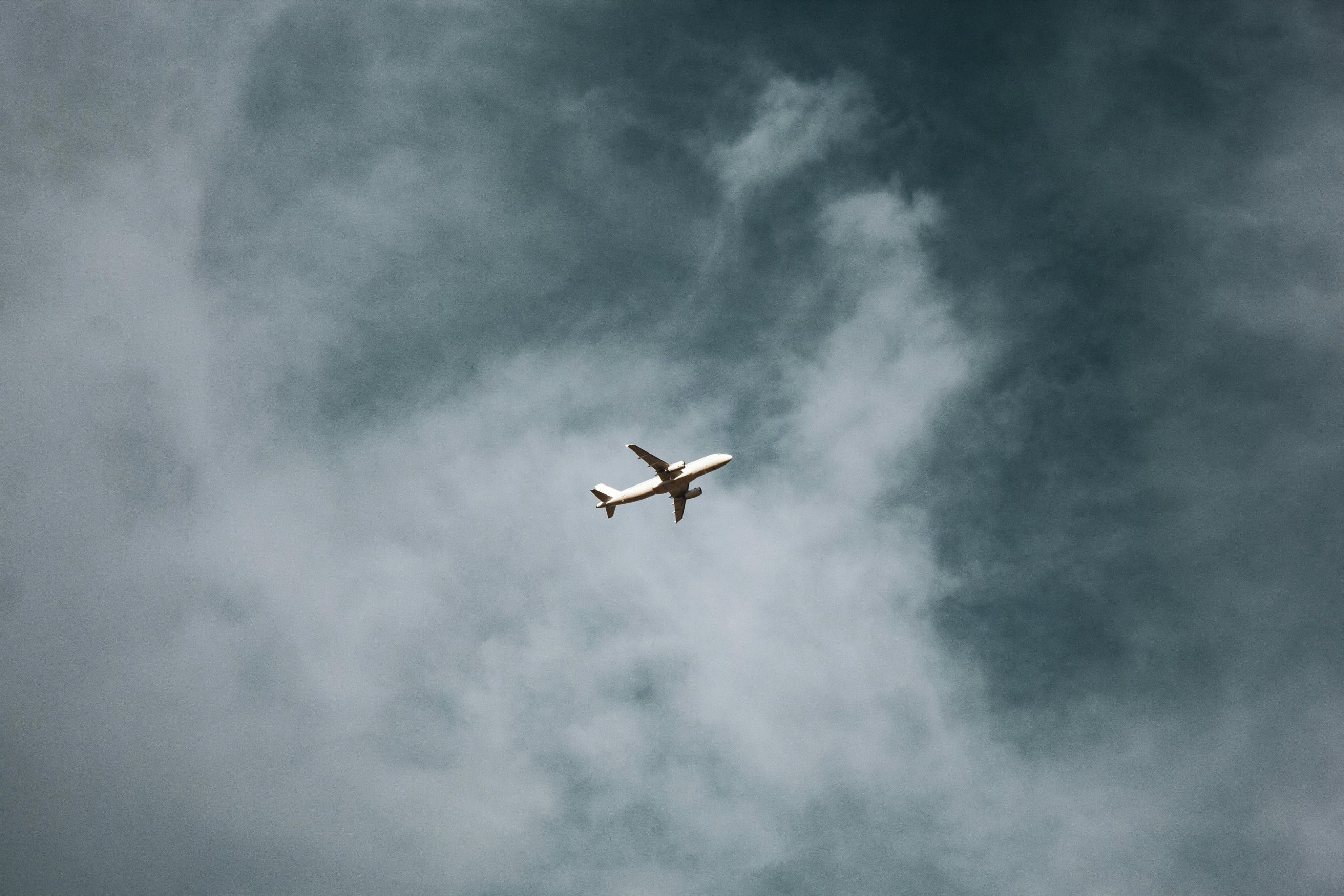 auckland airport marks solid performance
