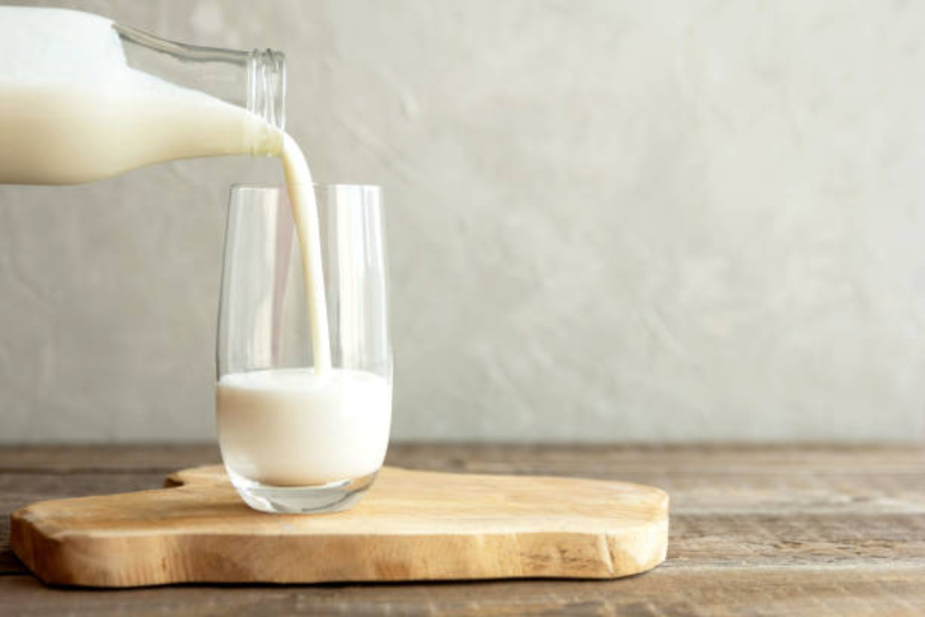 nz dairy giant invests $75 million to expand studholme site