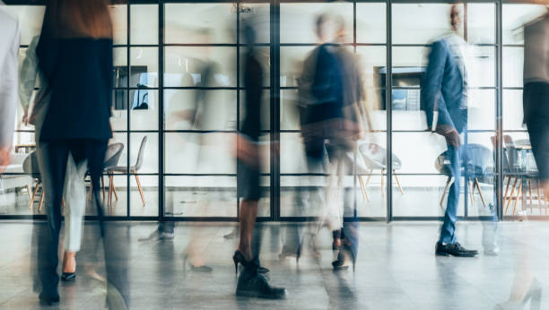 nz lacks experienced talents in crucial industries, study
