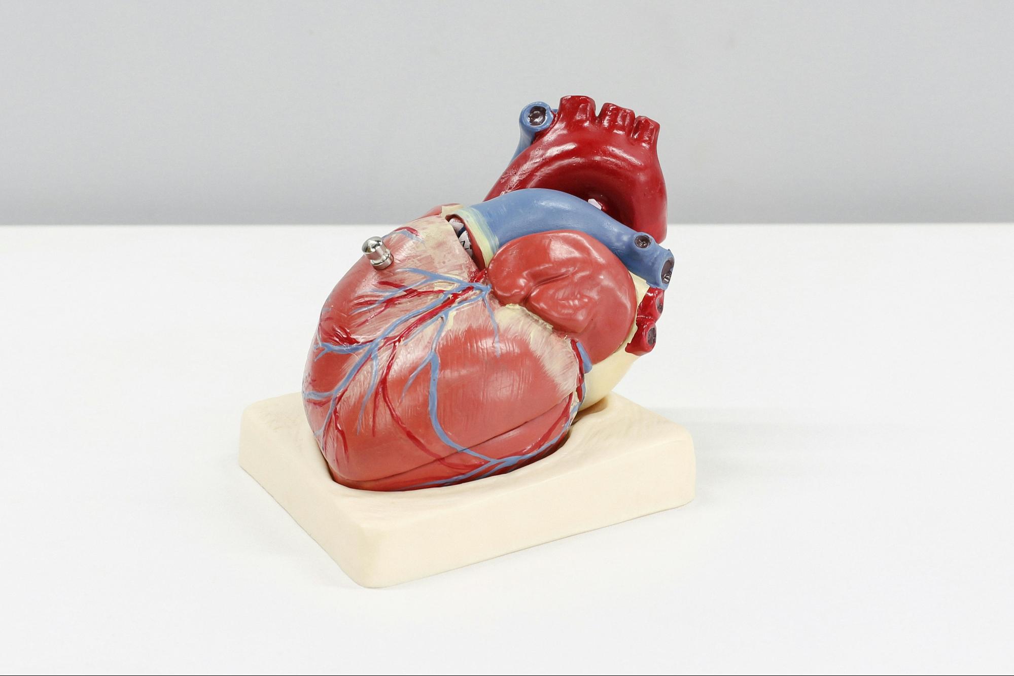 new ai system aims to spot high risk heart patients