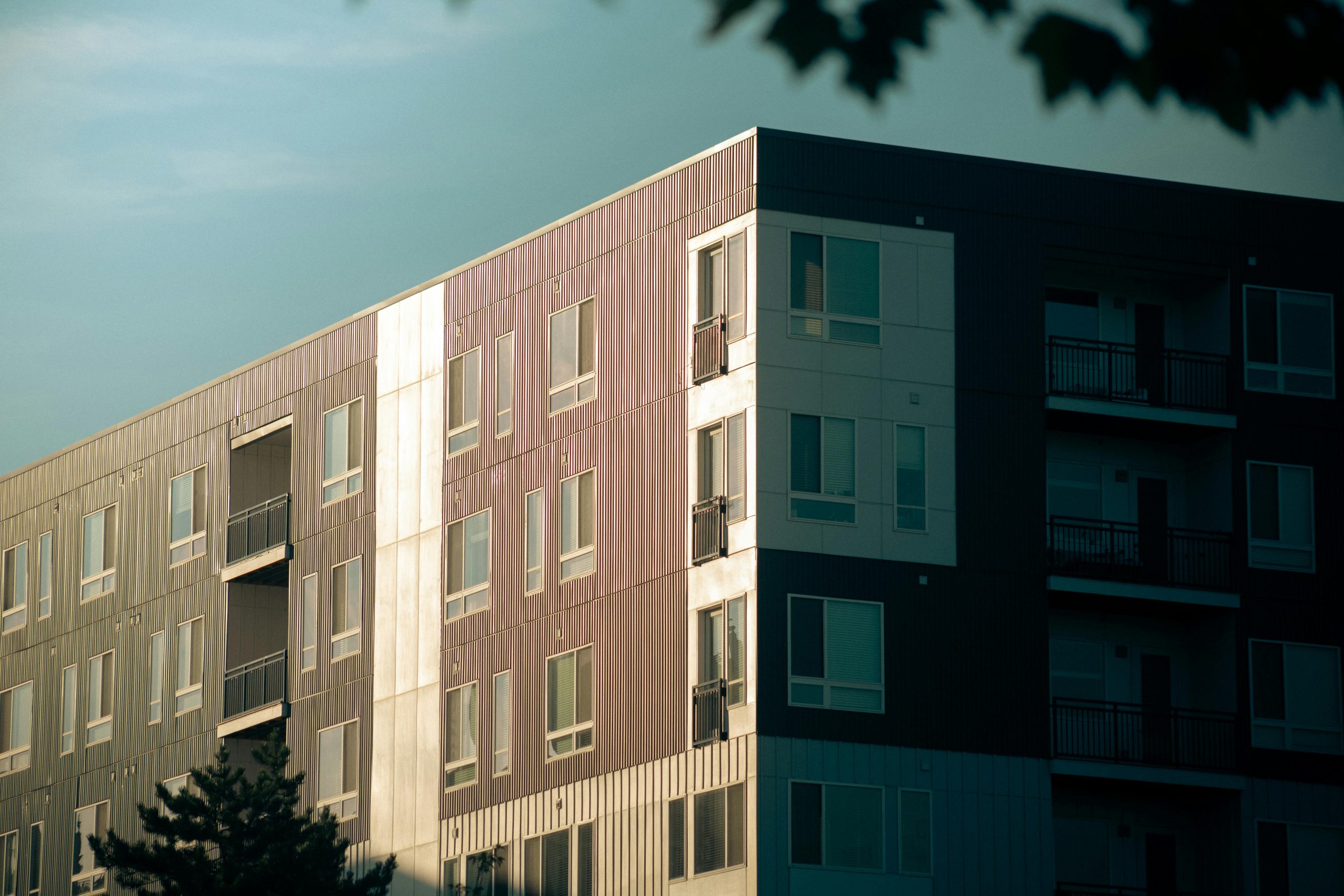 rental market slightly eases in july 2