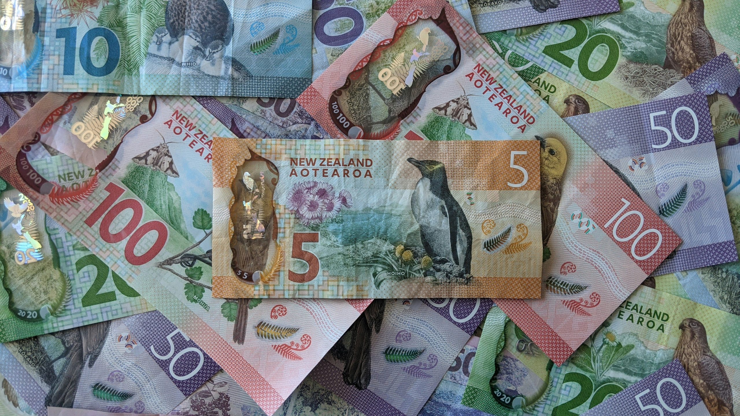 economists predict significant ocr cut