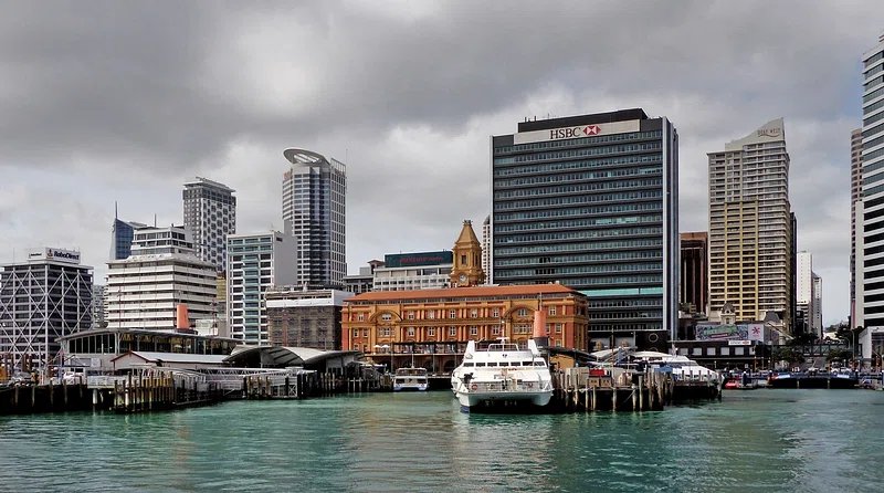 new zealand business