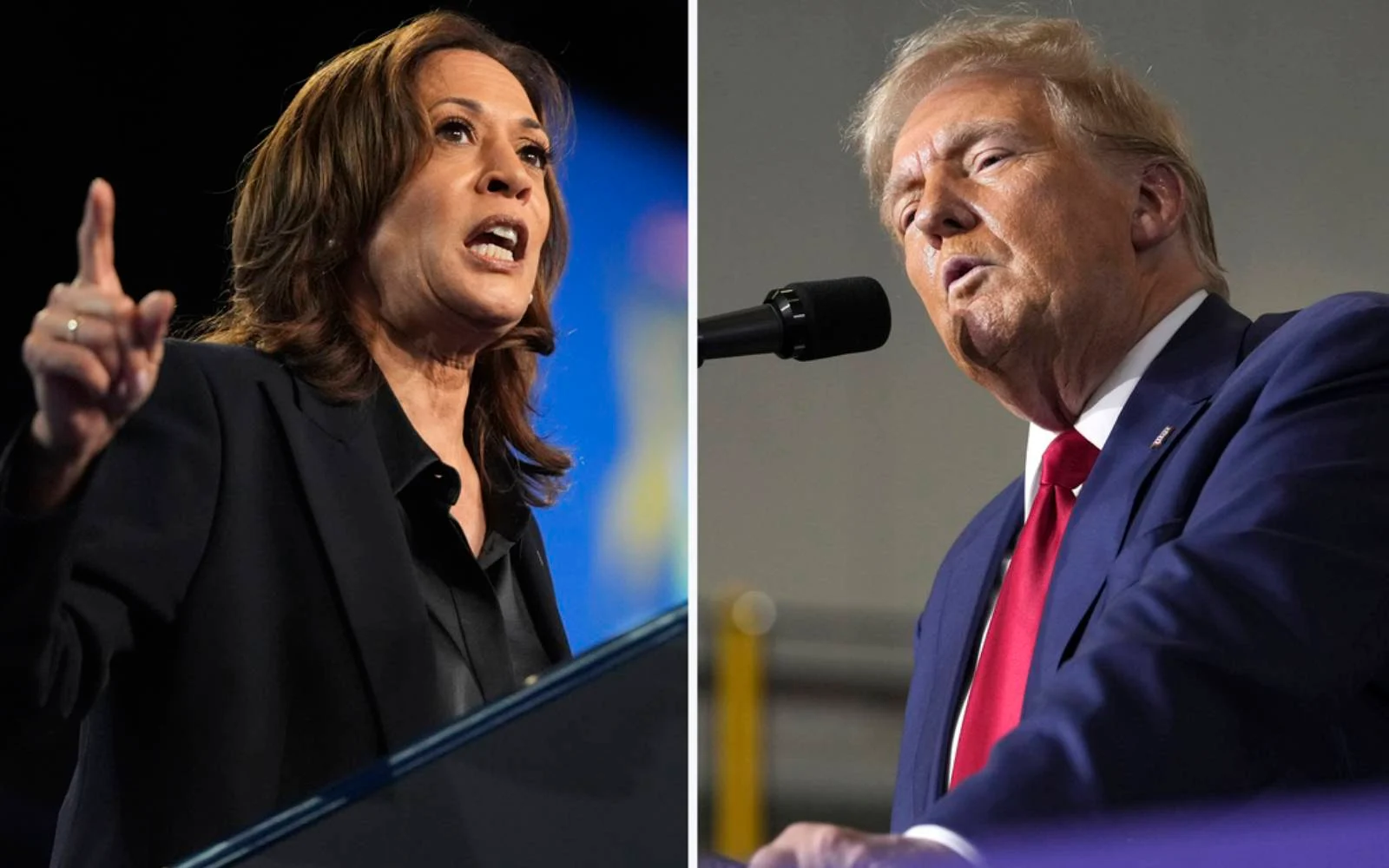 trump and harris
