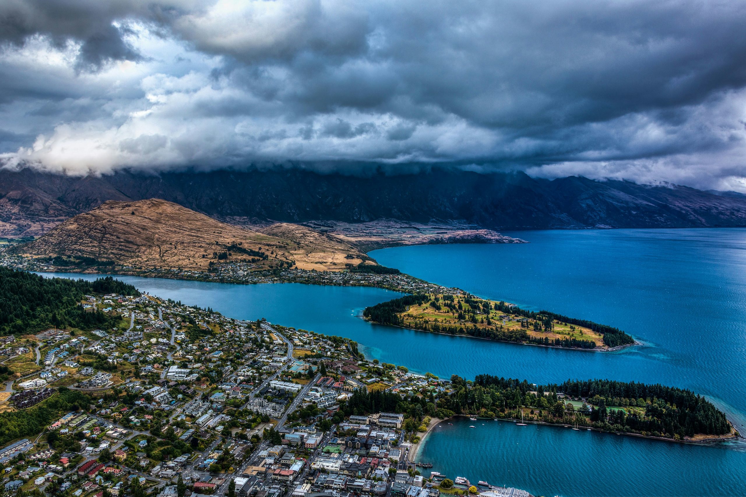 bnz pursues bankruptcy action against homestead bay investor