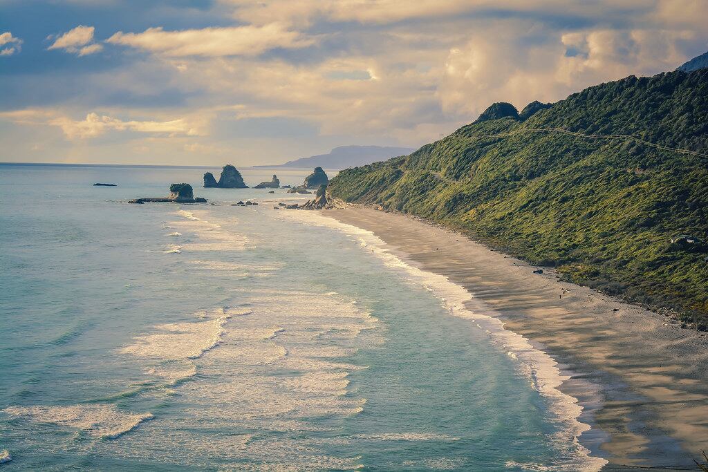 nz govt looks to blue carbon as a solution for emissions reduction