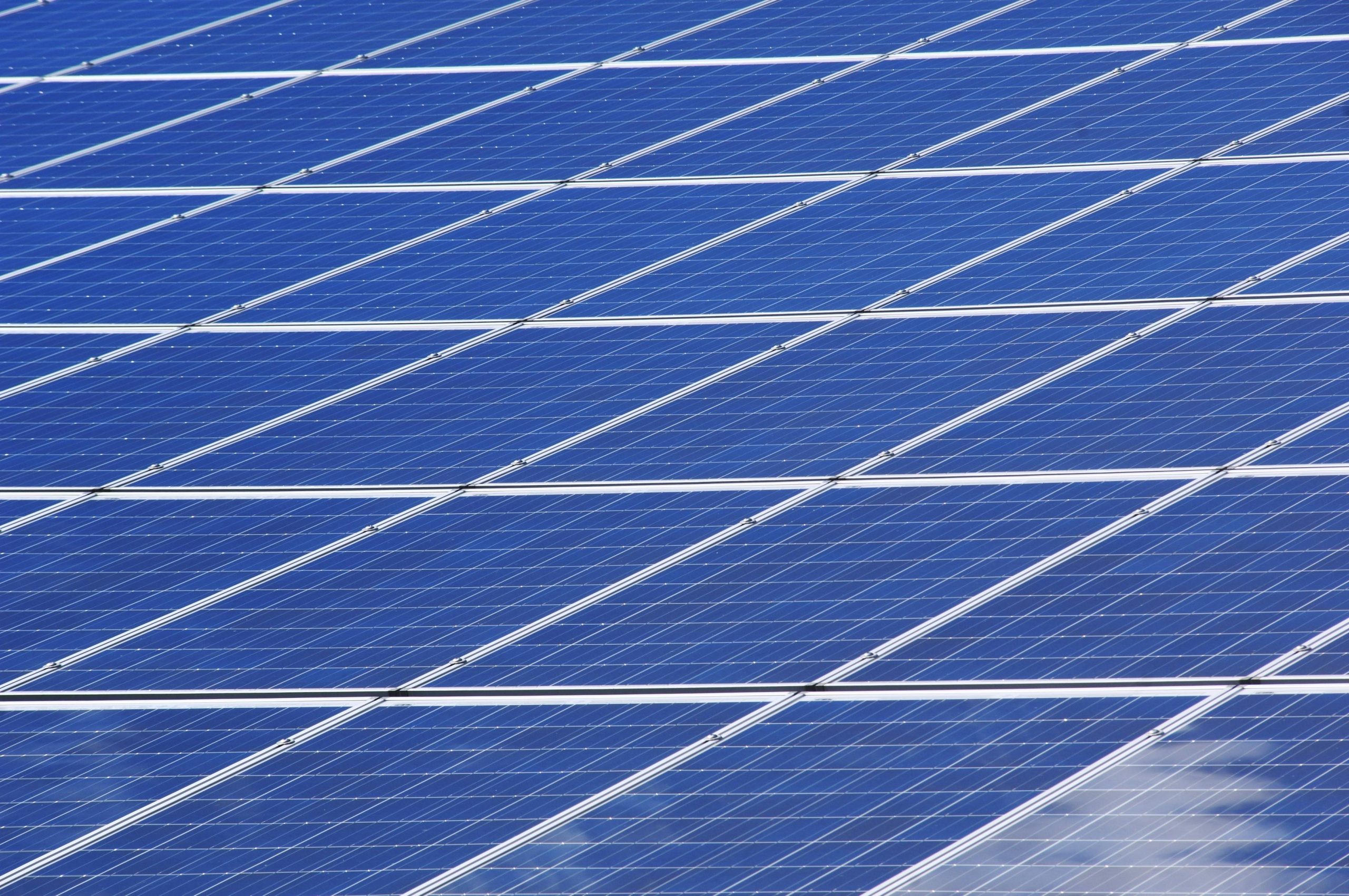 solarzero enters liquidation