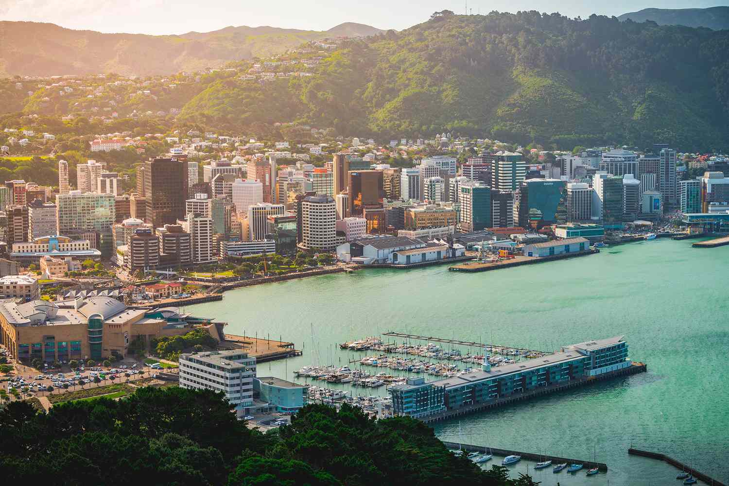 wellington