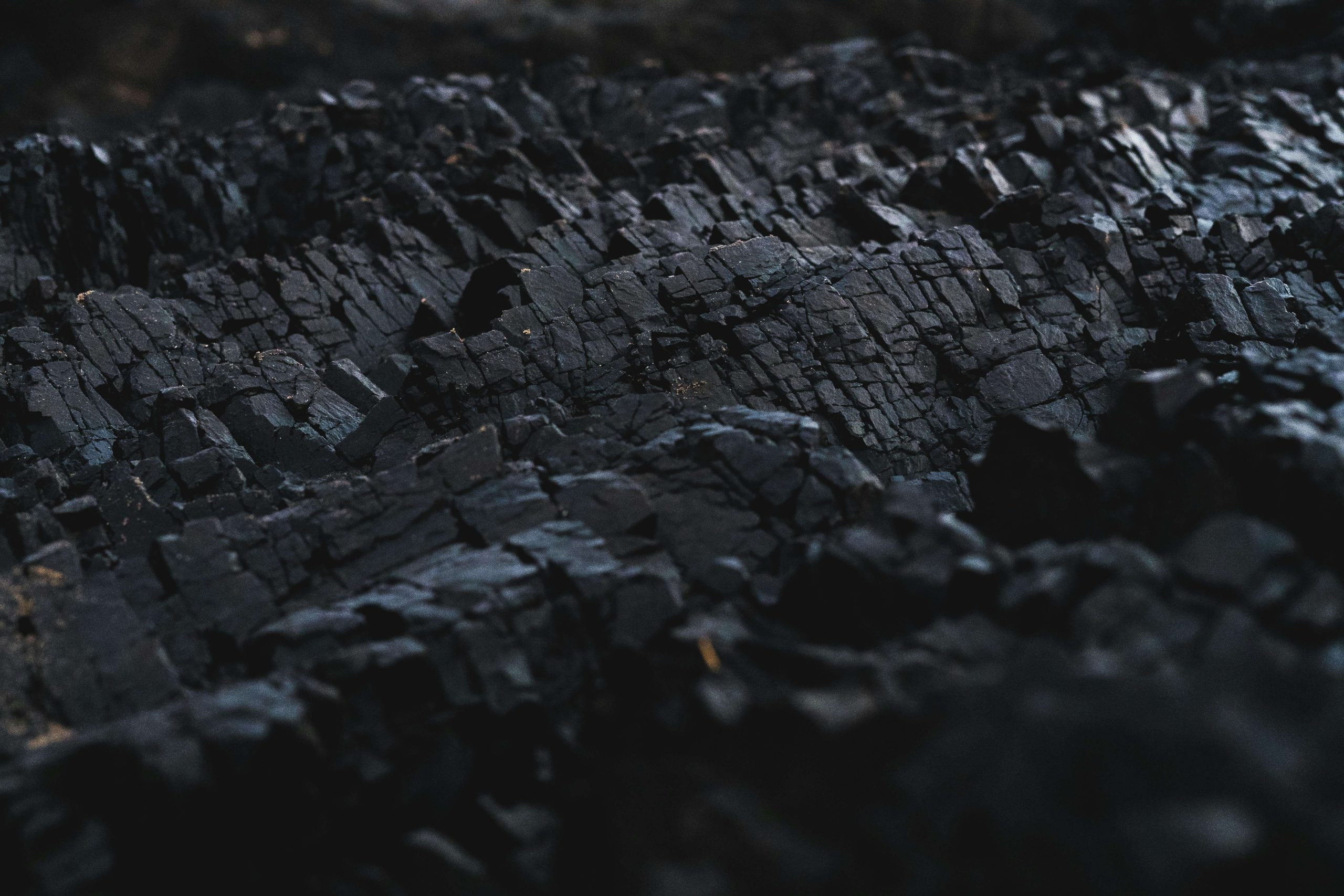 fossil
