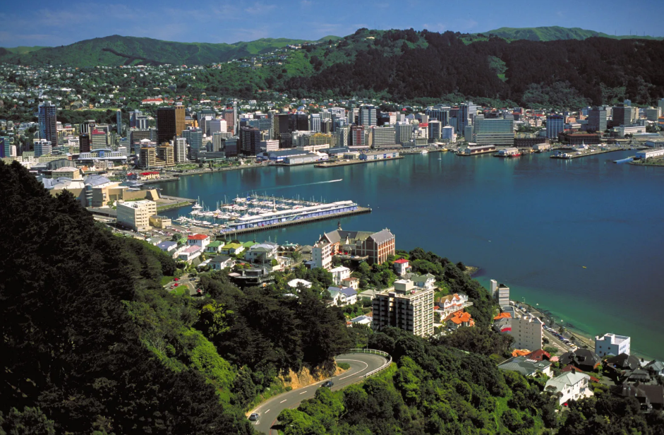 wellington nz