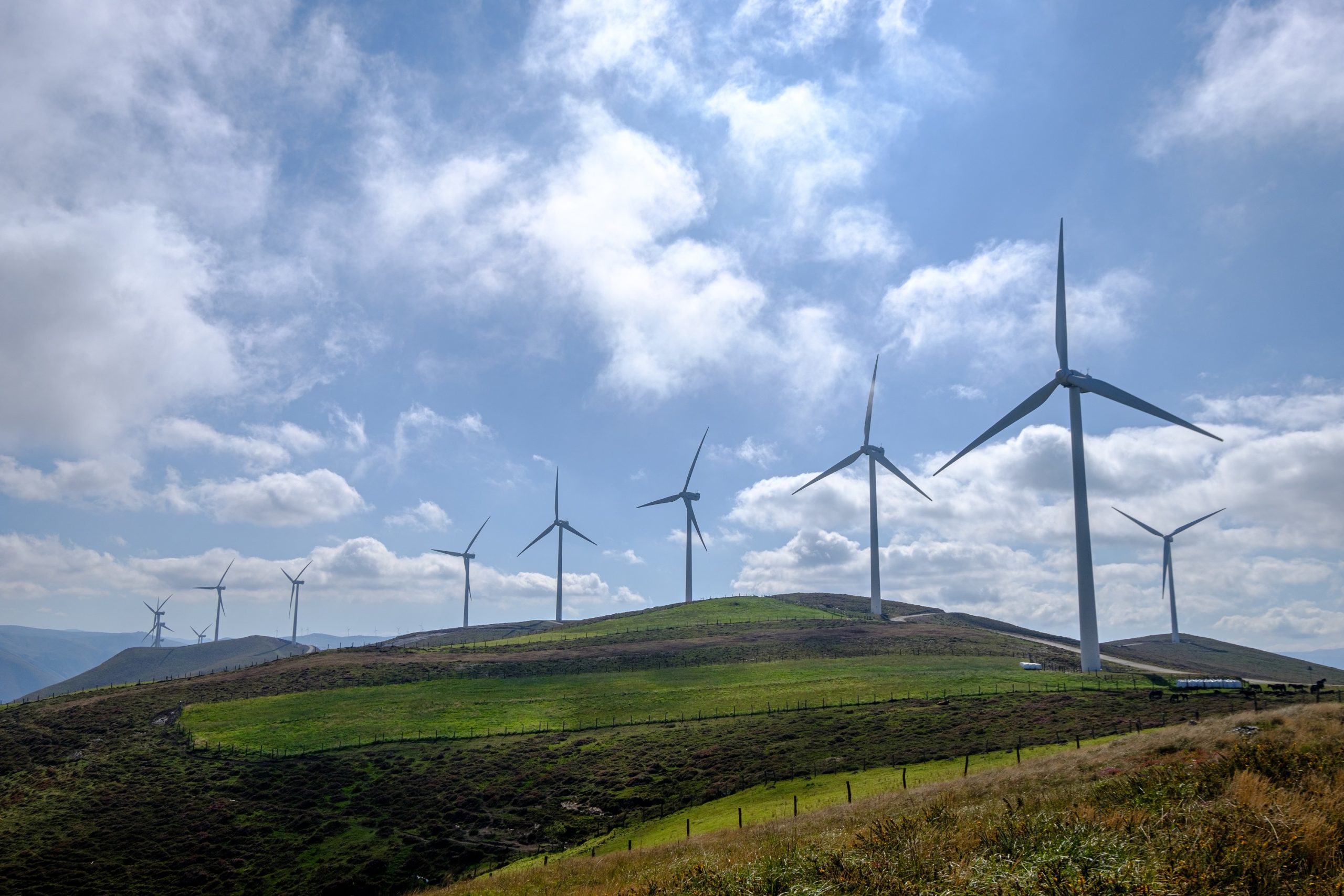 amazon becomes top corporate buyer of renewable energy