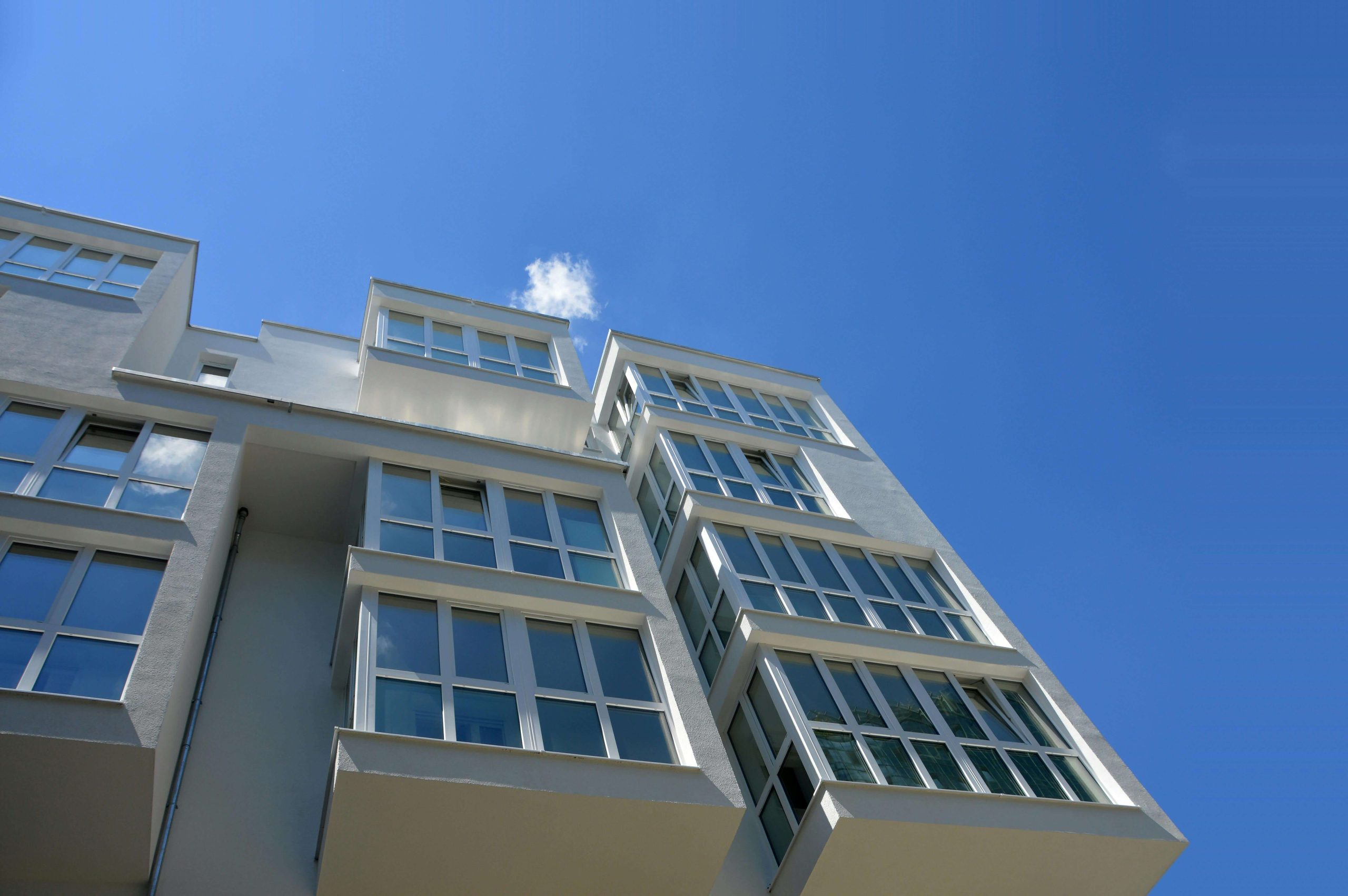 businesses nz (1)