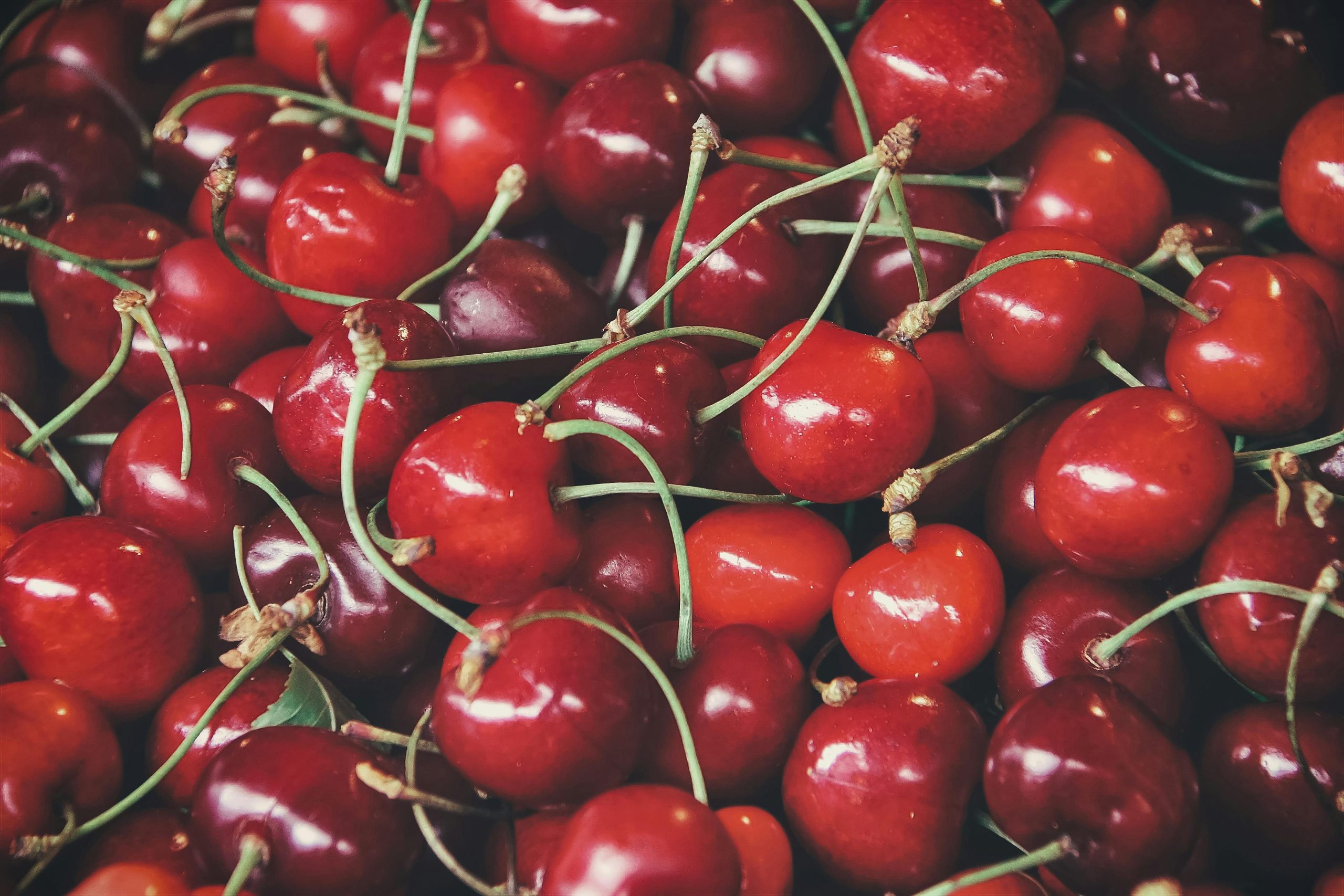cherry
