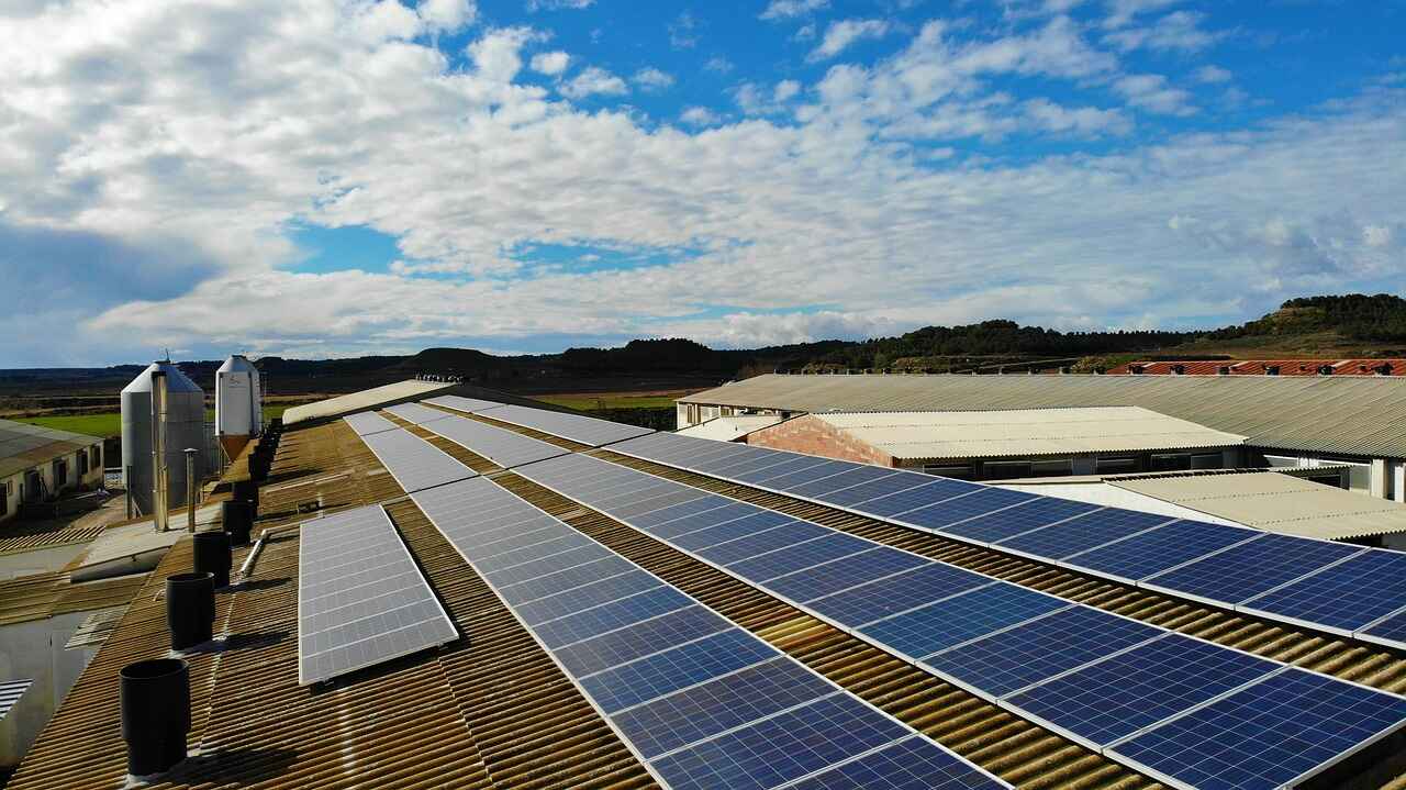 new zealand's energy sector gets a boost from mega solar initiatives