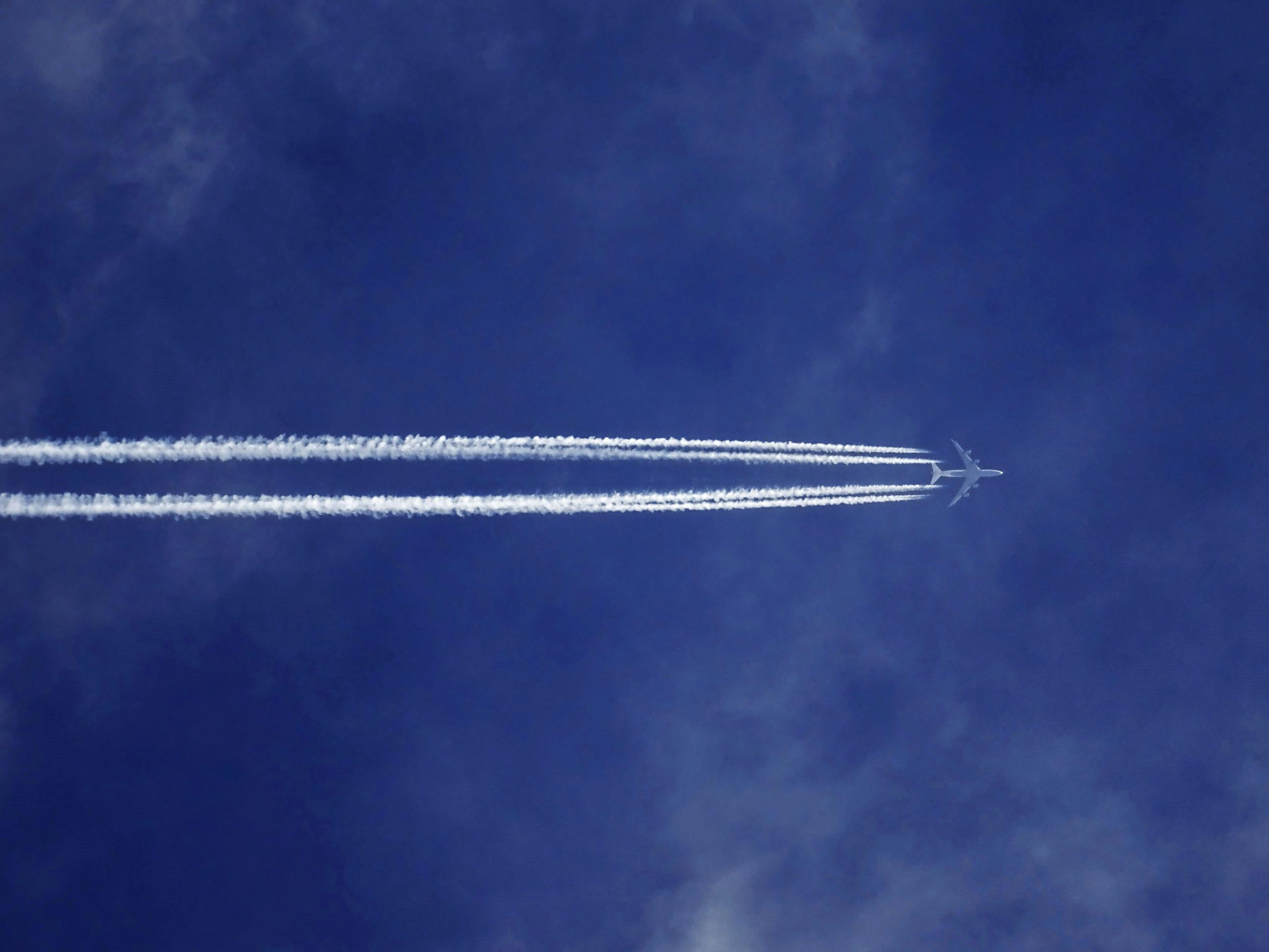 nz eases visa requirements for ‘digital nomads’