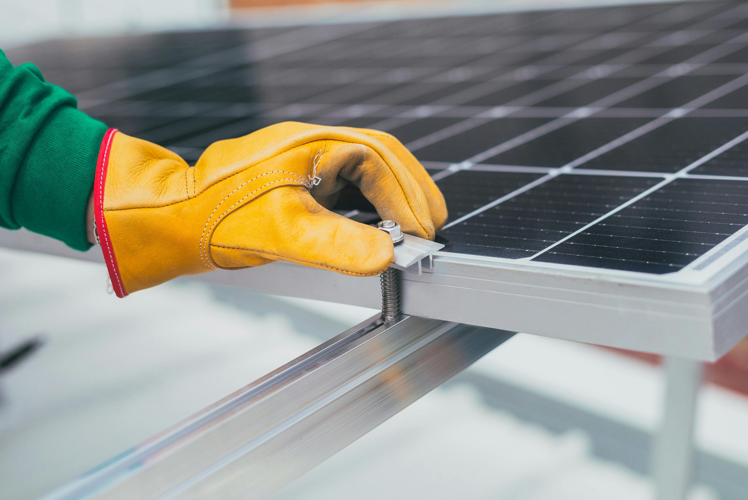 tauhei solar farm construction to begin this year