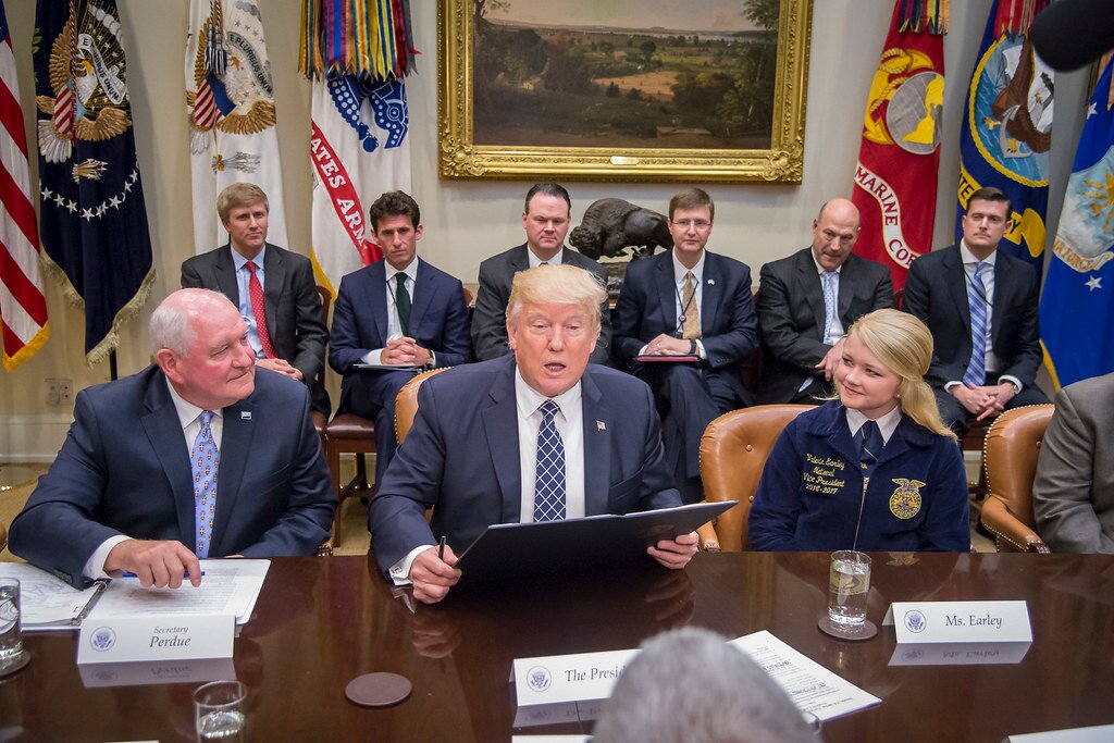 trump's early moves spark divided reactions