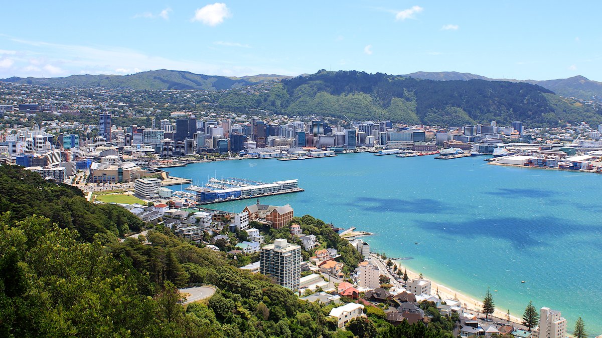 wellington view from mt victoria