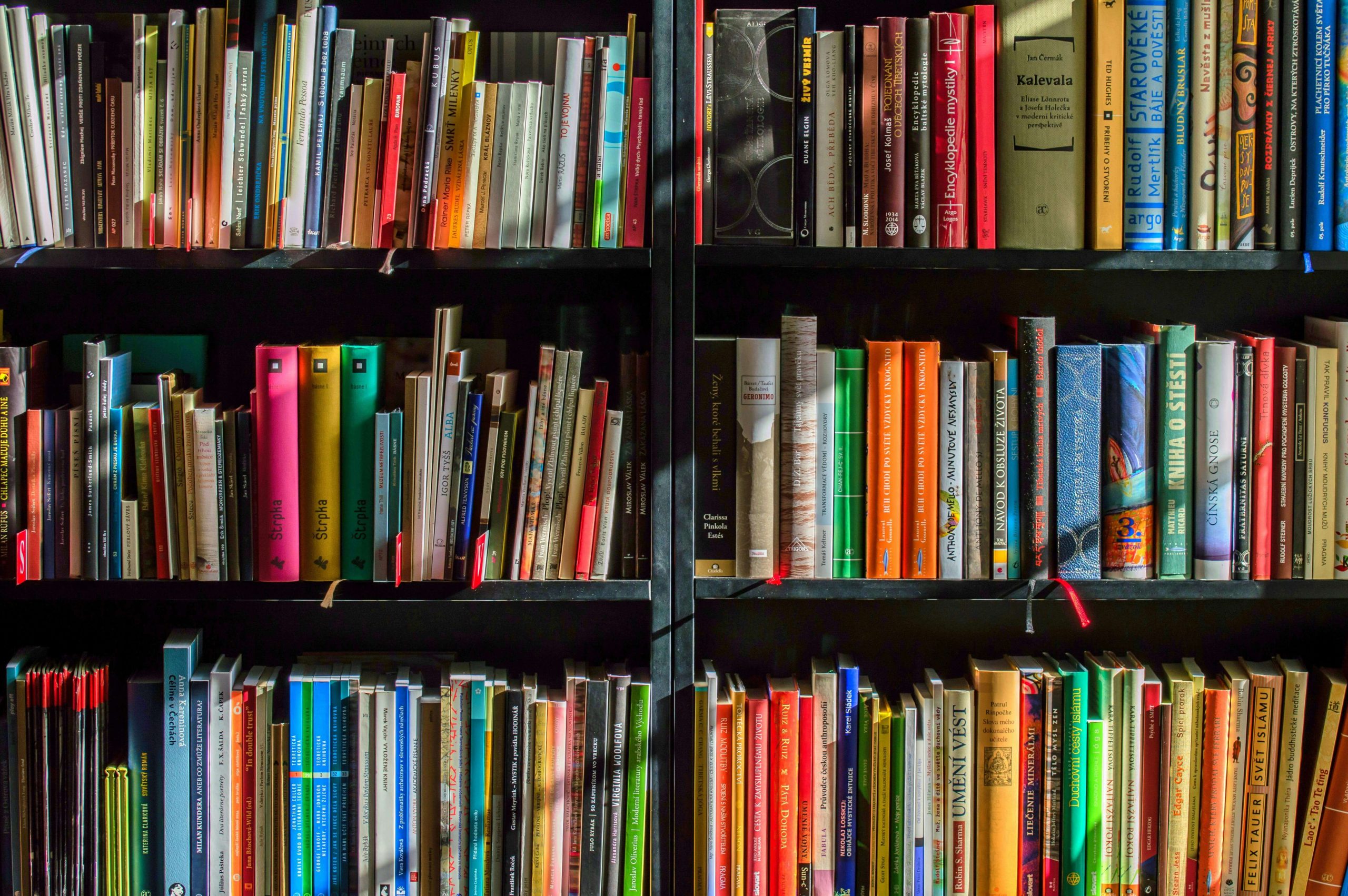 leadershipbooks