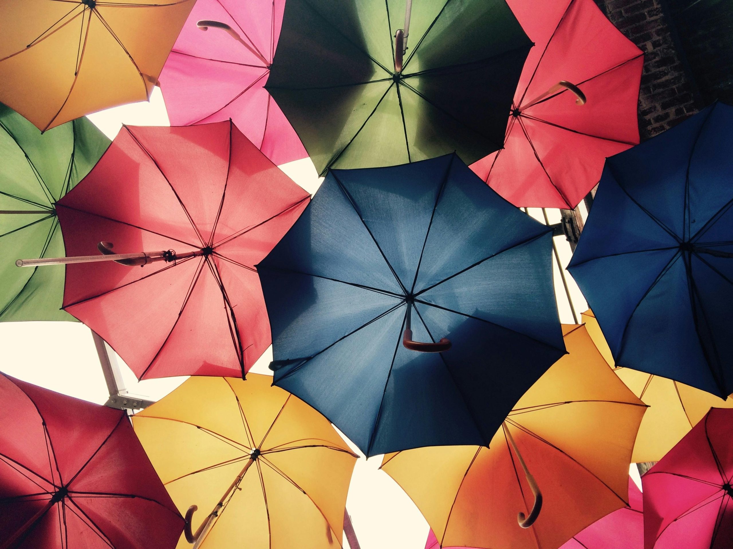 mas and fmg lead in customer satisfaction, consumer nz reveals