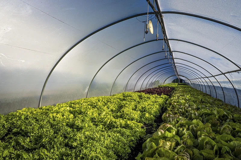 the latest agriculture trends shaping the agriculture sector