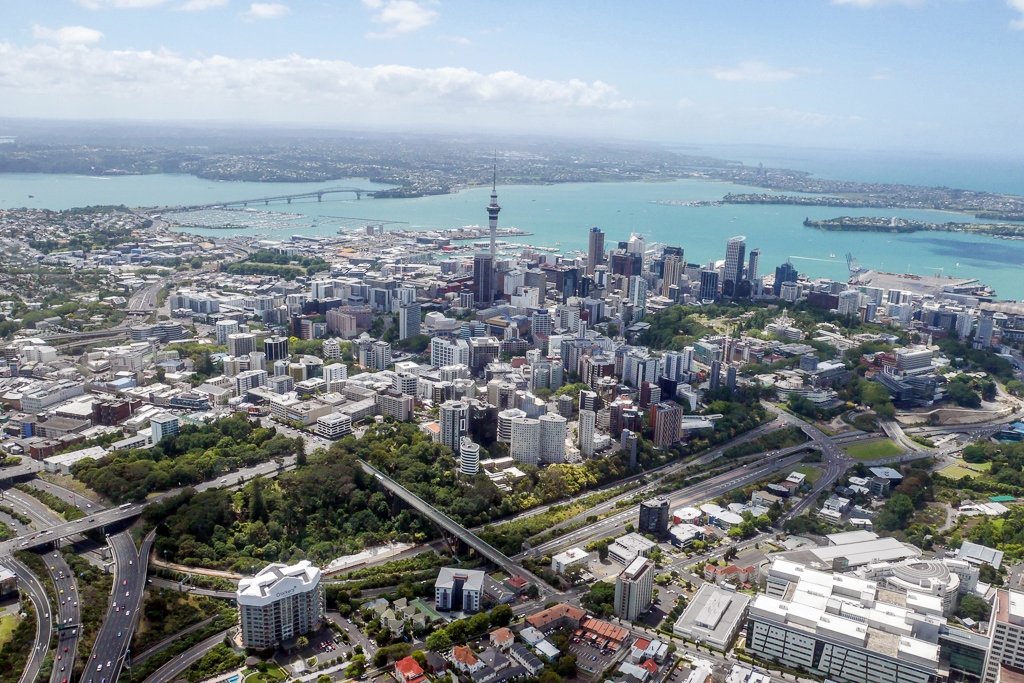 auckland property market