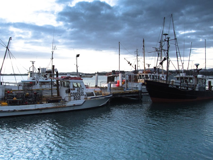 new zealand fishing boat 3388