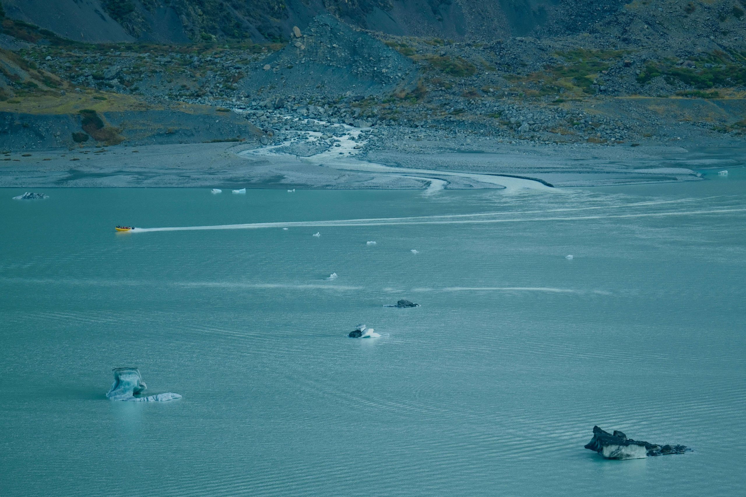 nzcruise
