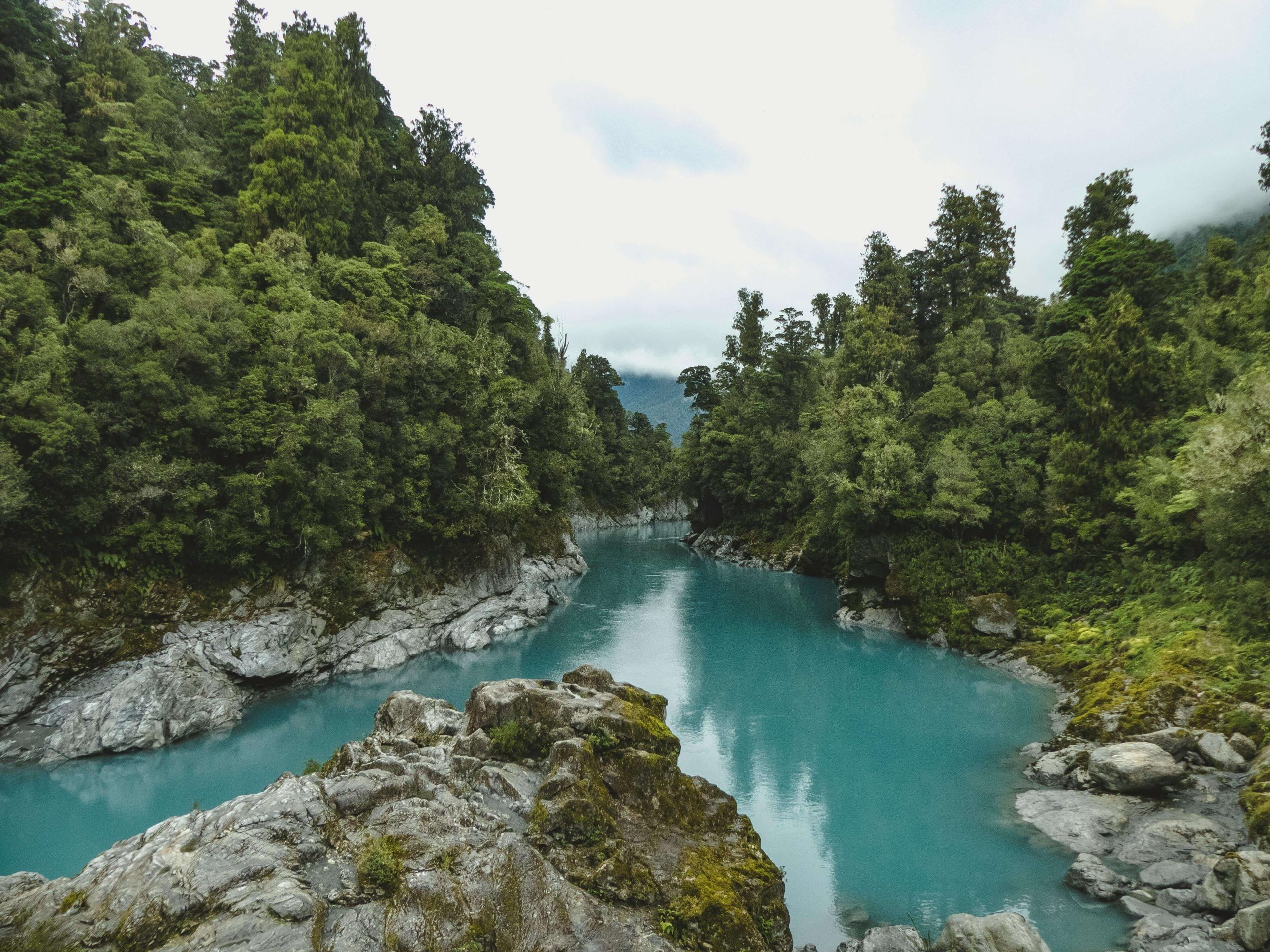 nzsafehaven