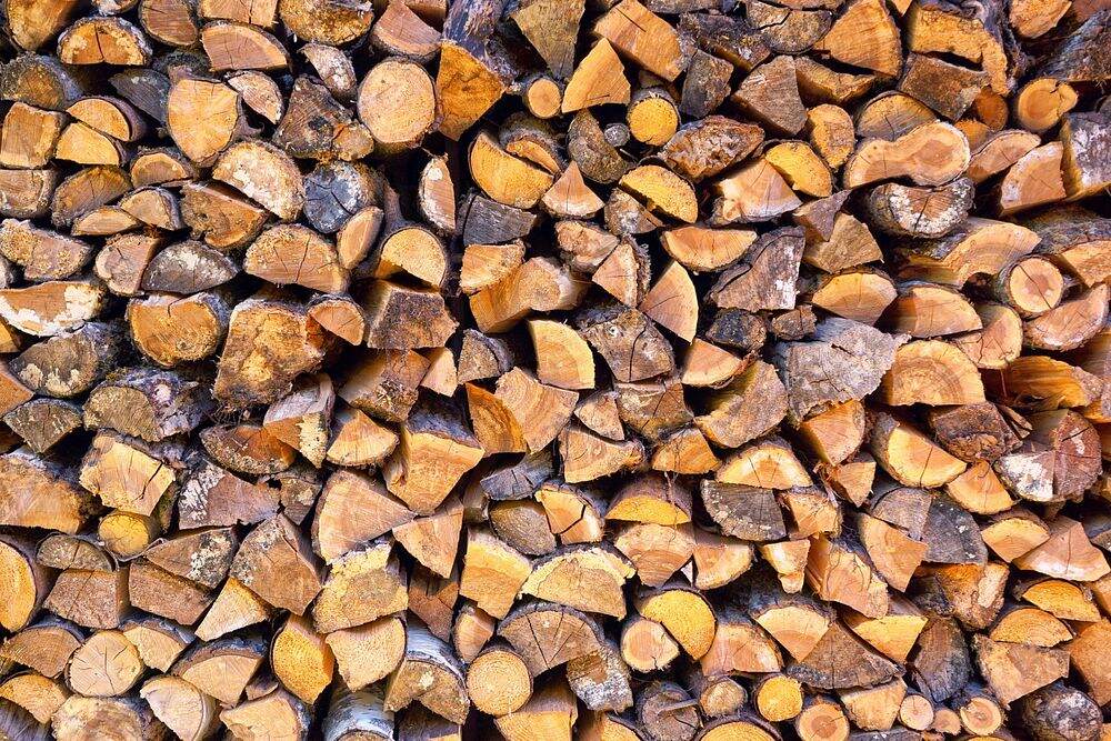 tech startup targets fallen trees for wood recycling
