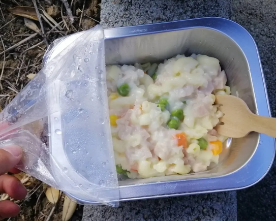 healthy school lunches programme