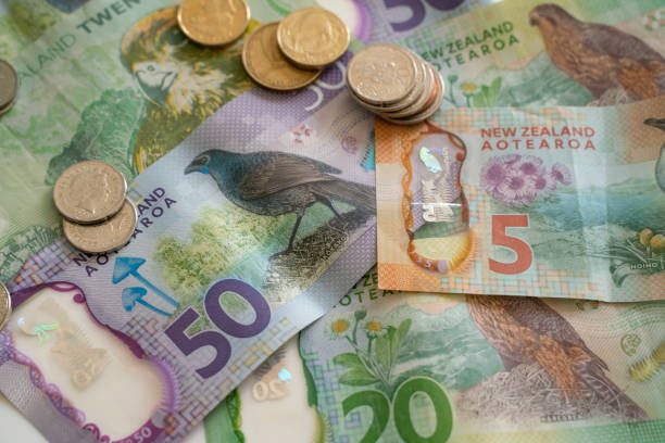 nz money