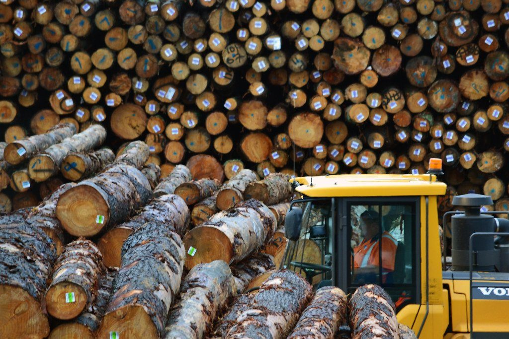 nz timber