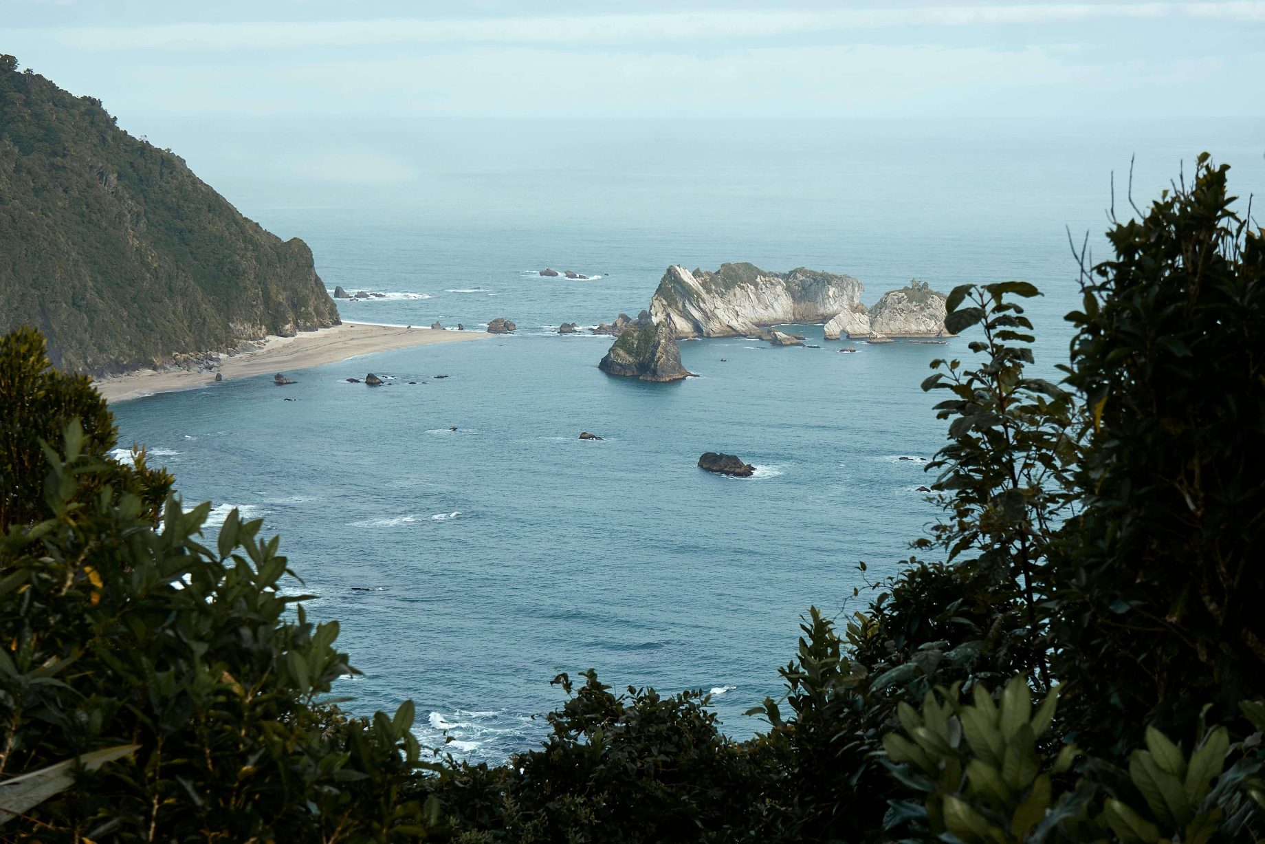 nznature