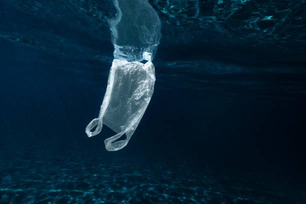 ocean plastic