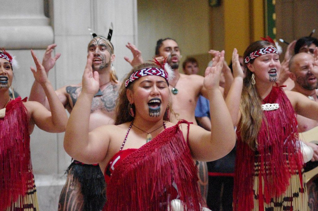 treaty principles bill faces collapse amid unprecedented public backlash