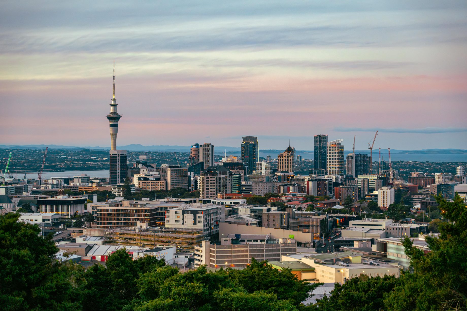 aucklandbusiness