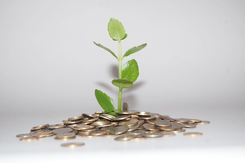 money growing