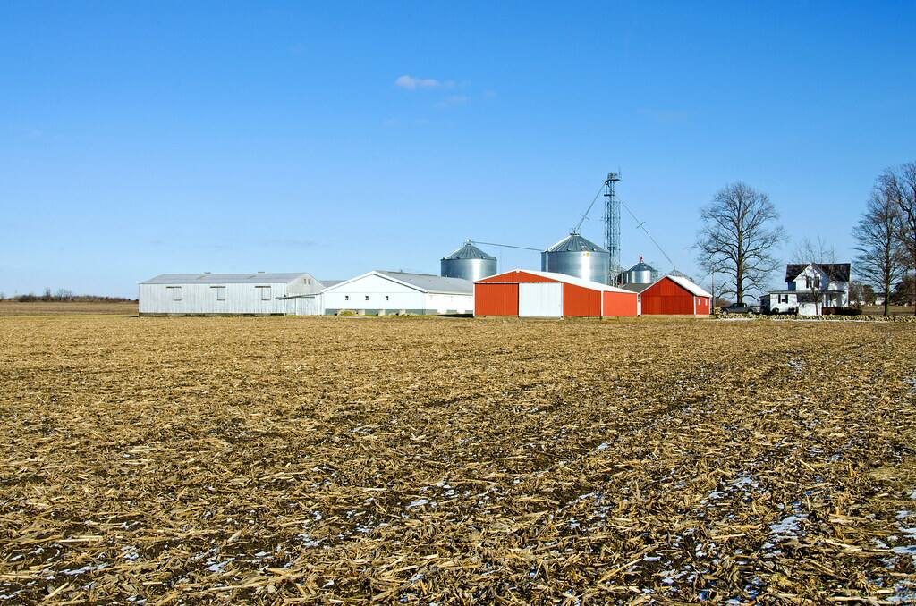 trade talks yield new us uk deal focused on agriculture, automotives