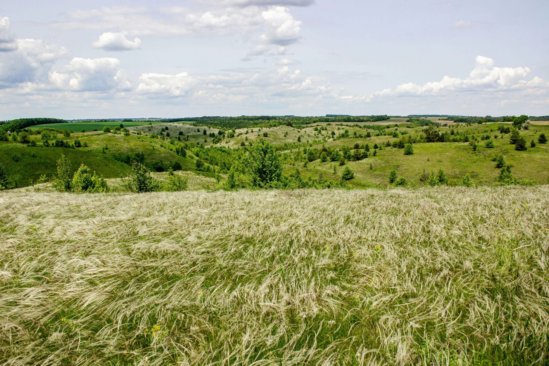 climate