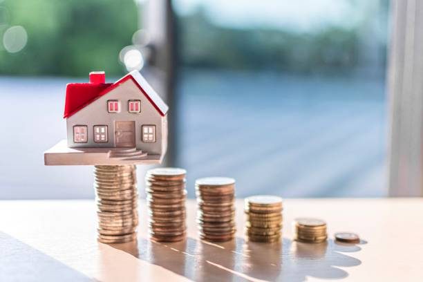new zealand property market in may