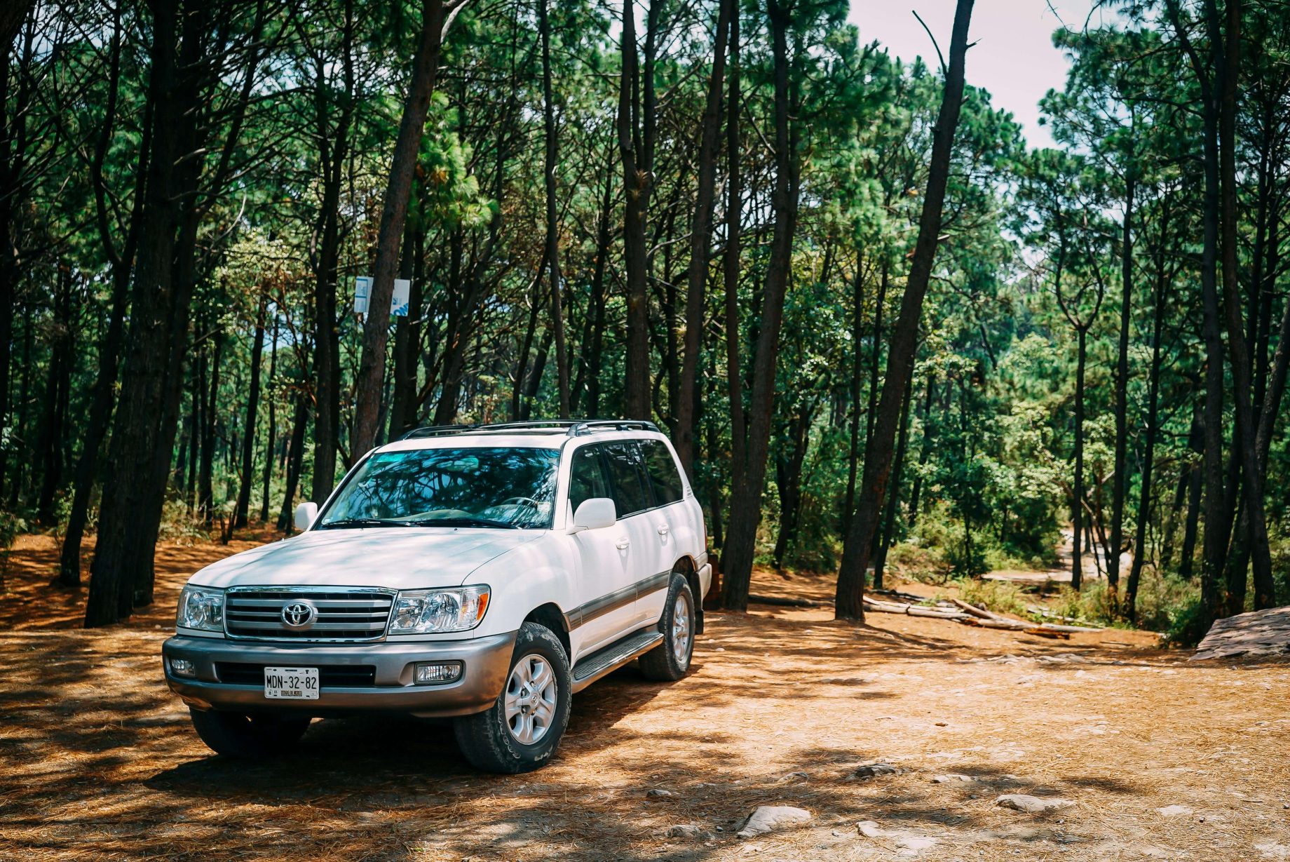 toyota (1)