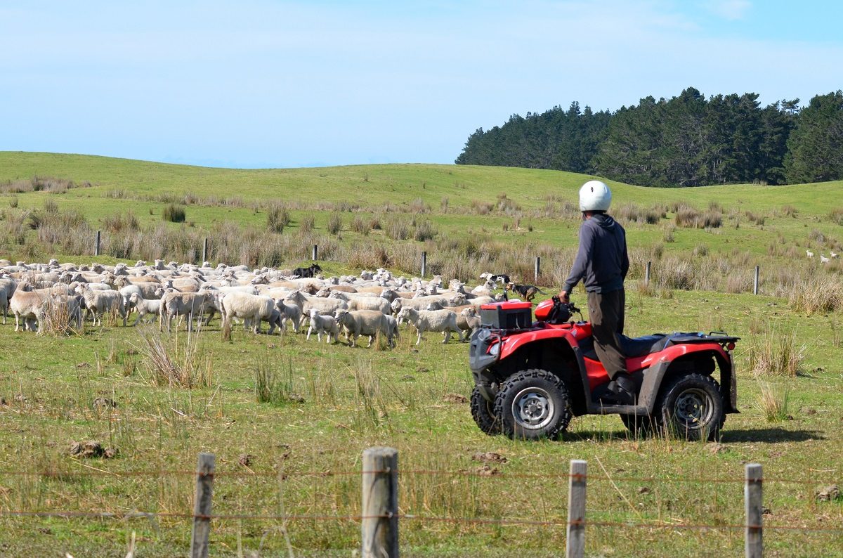 farmer
