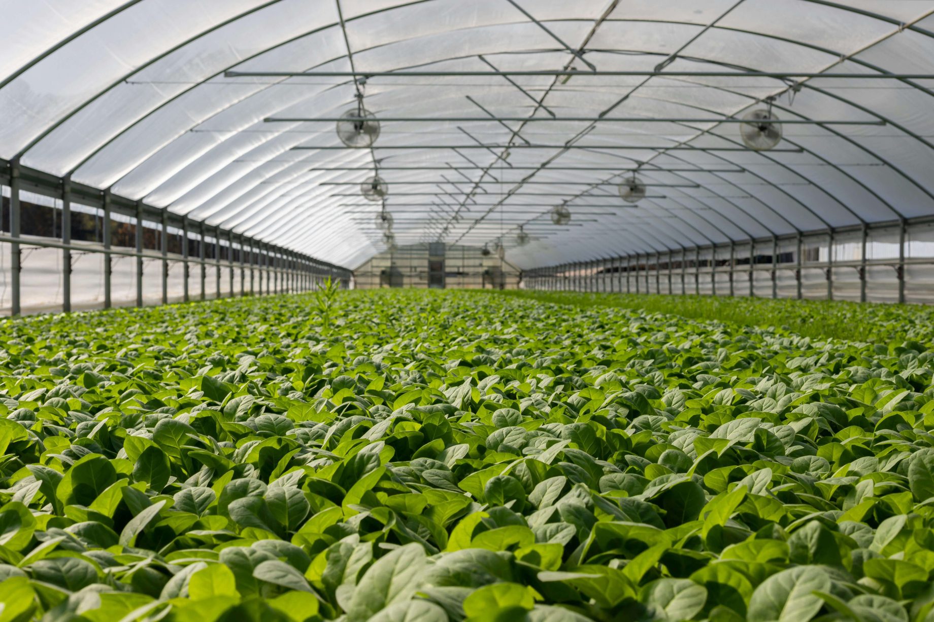 horticulturenz