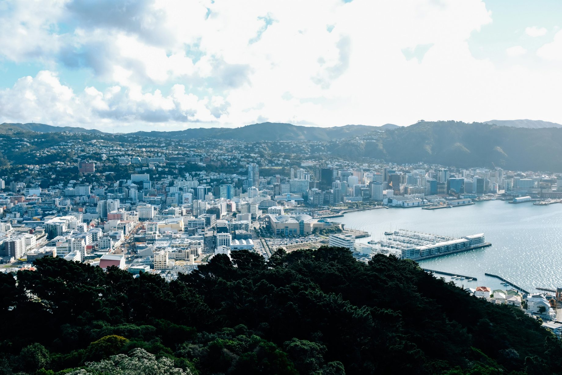new zealand (2)