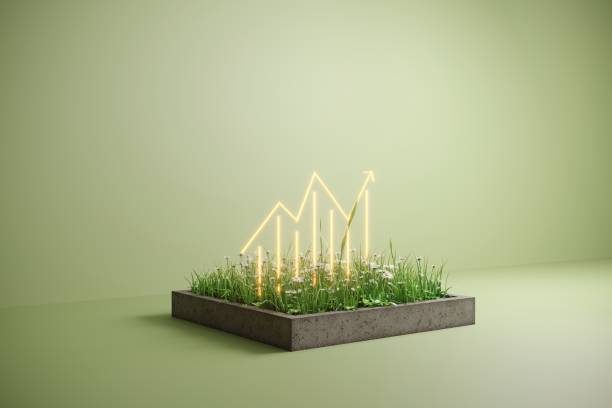 new zealand leads in renewable energy